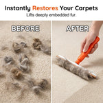 Pet Hair Carpet Rake