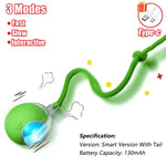 Interactive Rolling Cat Ball Toy