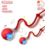 Interactive Rolling Cat Ball Toy