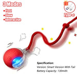 Interactive Rolling Cat Ball Toy
