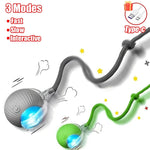 Interactive Rolling Cat Ball Toy