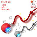Interactive Rolling Cat Ball Toy